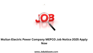 Multan Electric Power Company MEPCO Job Notice 2025 Apply Now