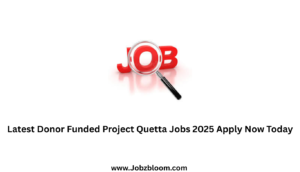 Latest Donor Funded Project Quetta Jobs 2025 Apply Now Today