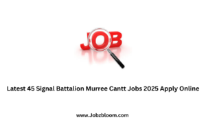 Latest 45 Signal Battalion Murree Cantt Jobs 2025 Apply Online