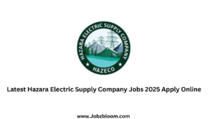Latest Hazara Electric Supply Company Jobs 2025 Apply Online